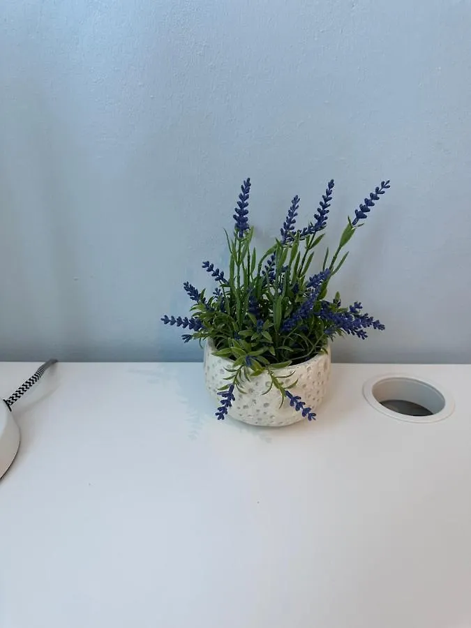 פונטה קאנה Noe Hotel One Bedroom #3 0*, פונטה קאנה